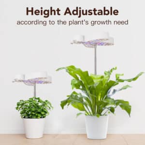 LED Ground Plug-in Bees Shape Plant Grow Light