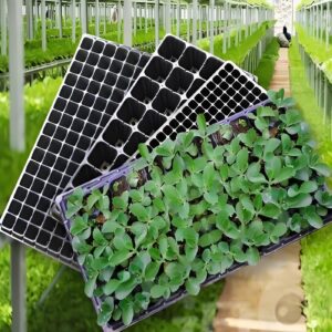 why are the advantages of using seedling tray