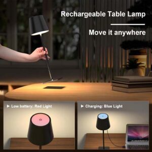 Cordless Table Lamp