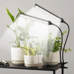 Plant Growing Lights