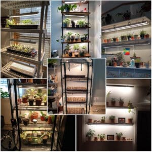 Led Grow Light Strips