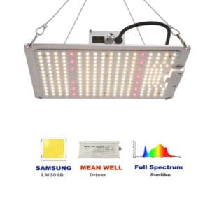 Quantum Board LED Grow Lights With Samsung Chip