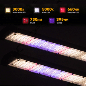 Growing With Led Grow Lights