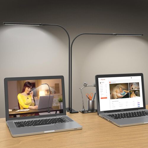 70CM Double Tube Desk Gooseneck Lamp