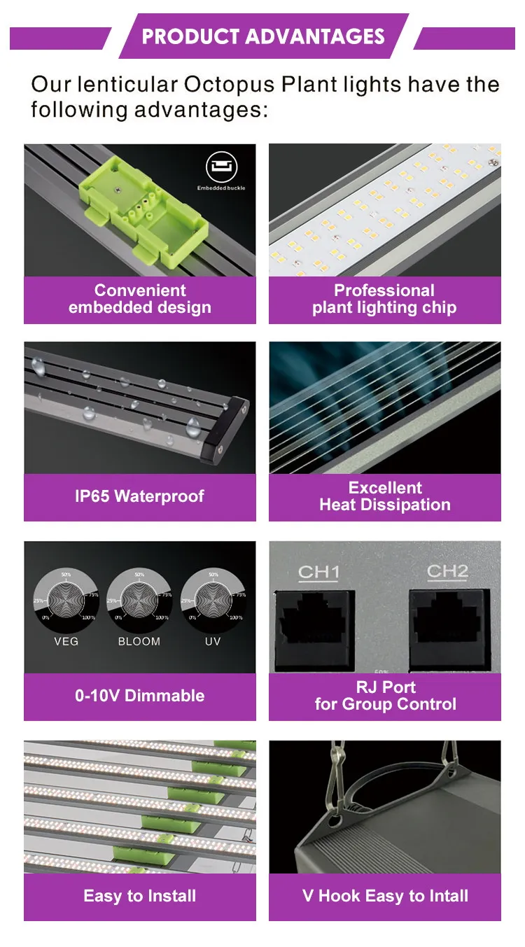 Cannabis Grow Lights​