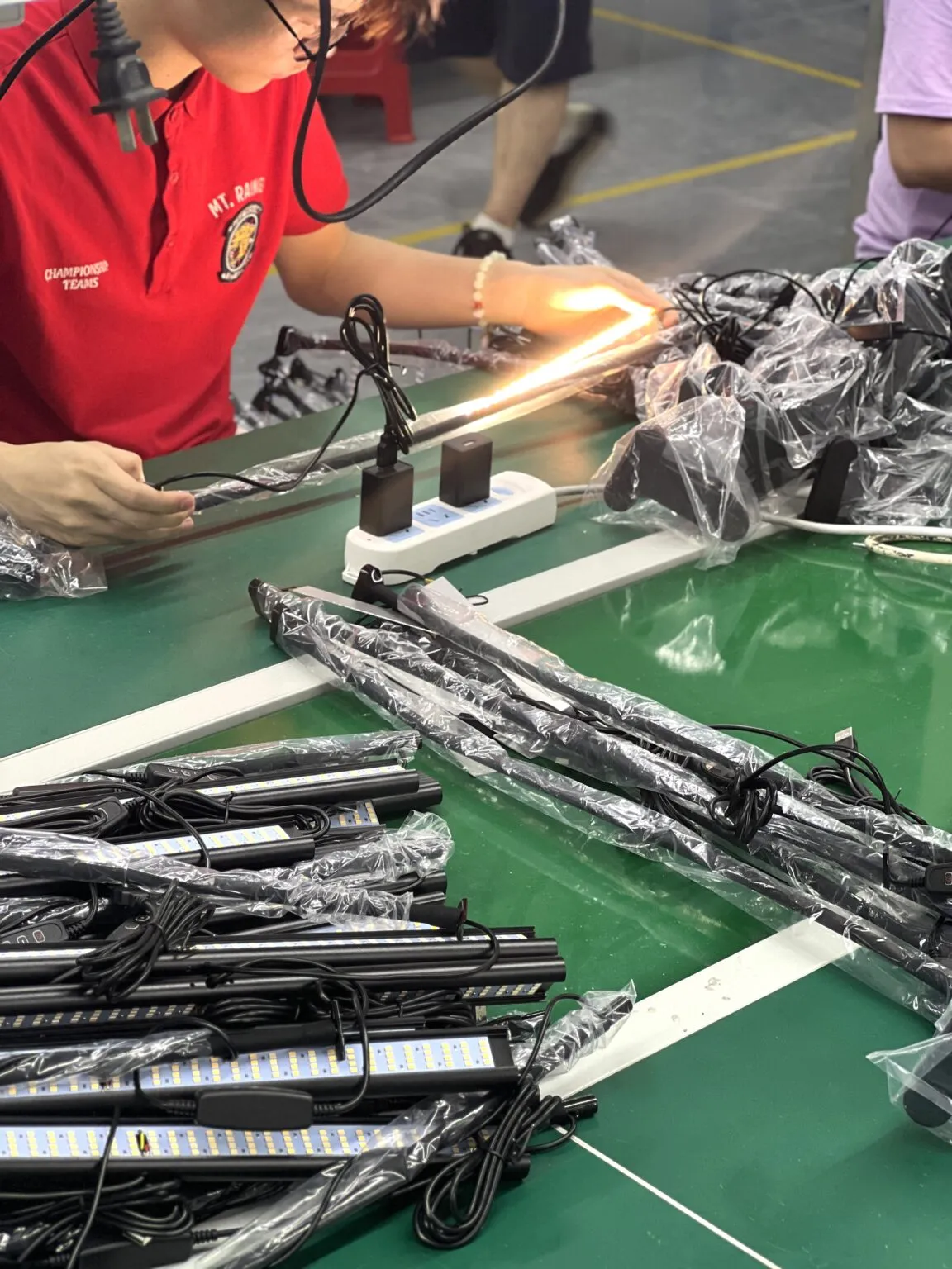 Finished Product Inspection