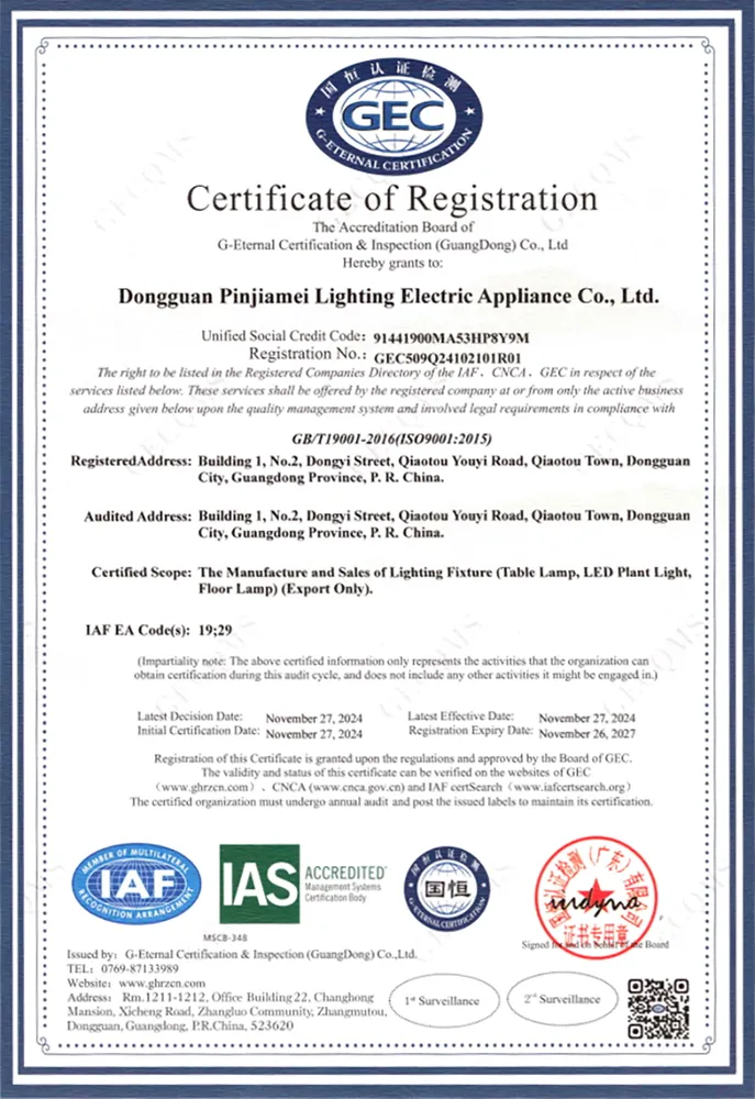 GEC509Q24102101R01-1754757949