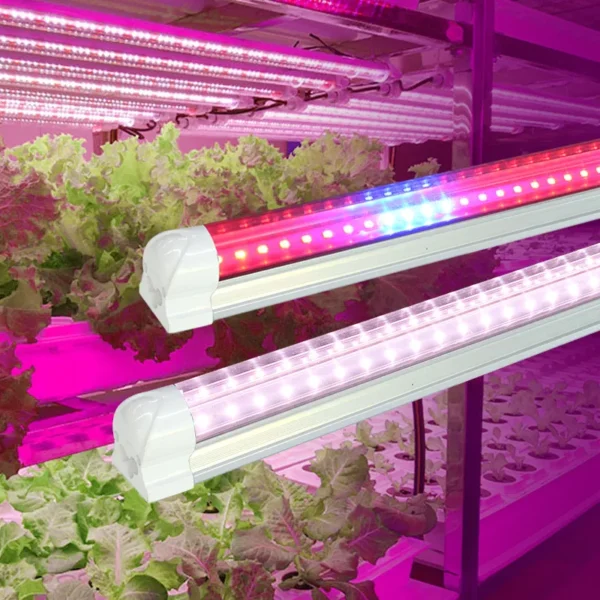 T8 grow lights