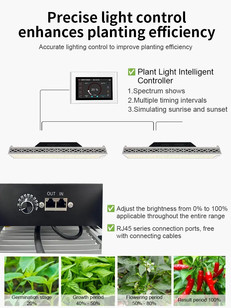 Grow Lights Vegetables