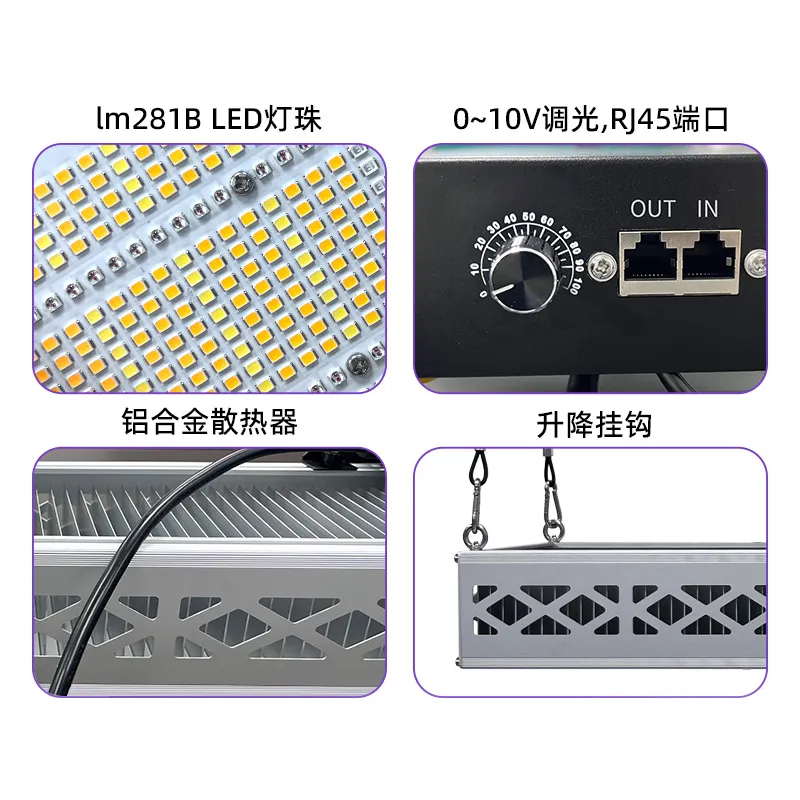 Grow Lights Vegetables