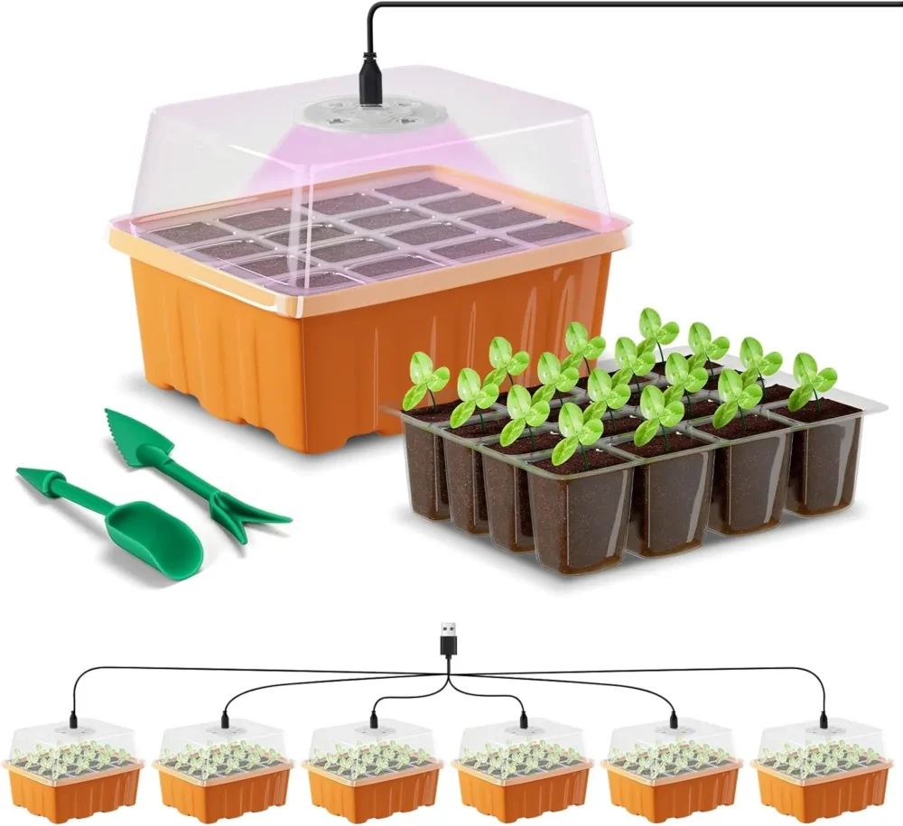 Tray Seedling
