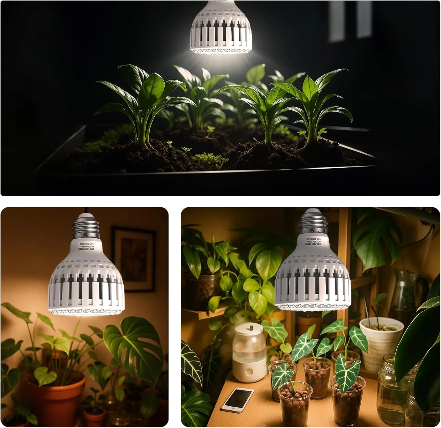 Grow Light Bulb​