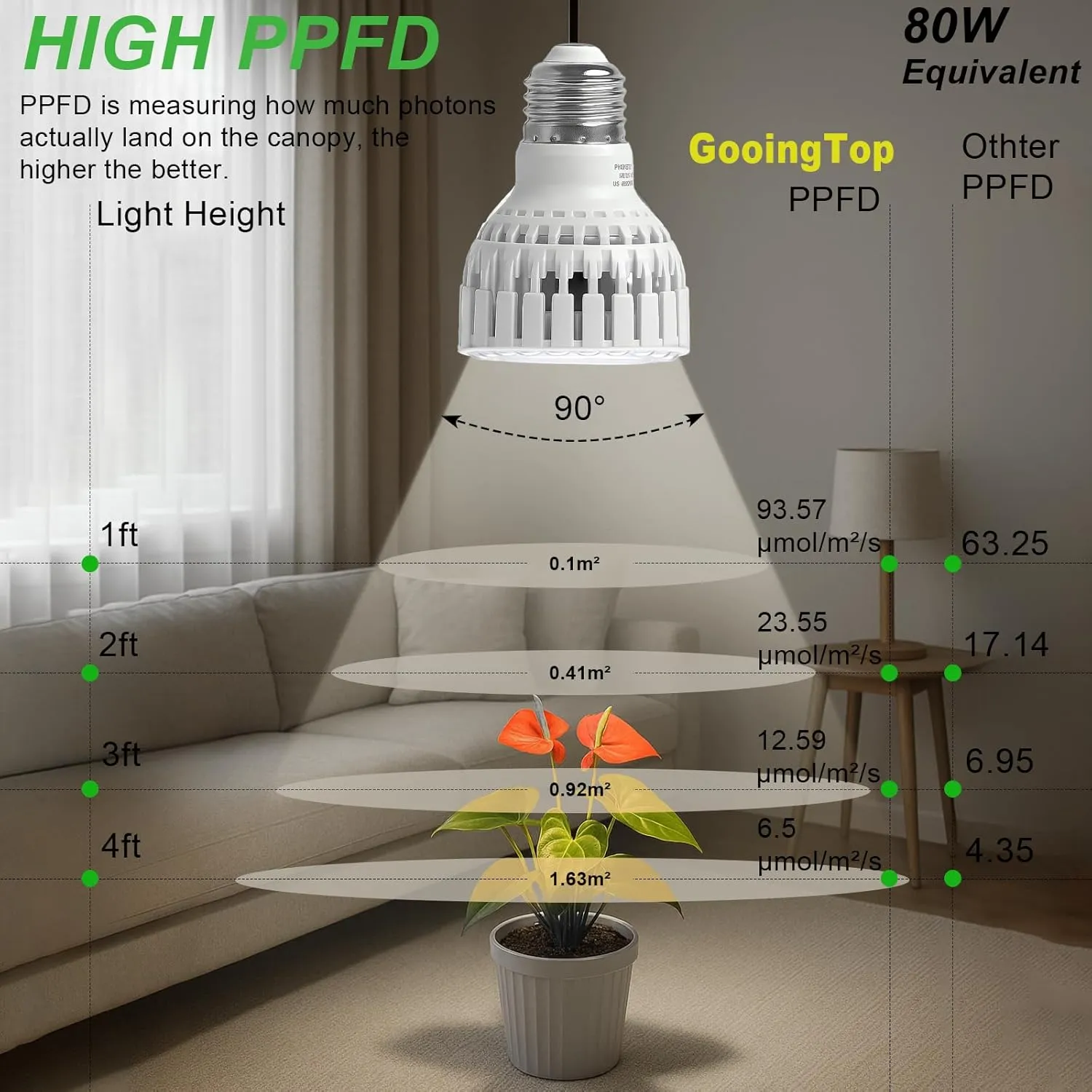 Light Bulb Grow​