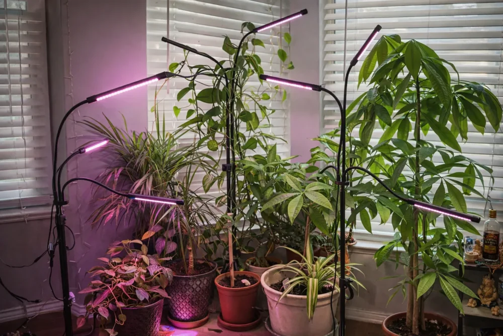 floor grow lights for small garden