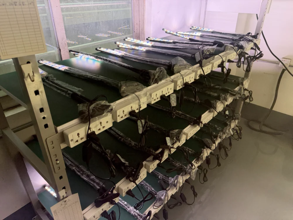 Plant lights undergoing aging tests