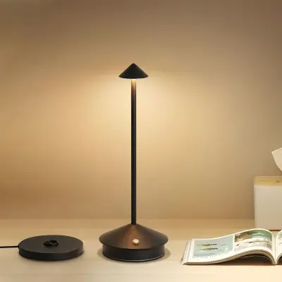 Dimmable Metal Desk Lamp with 4 Color Temperatures & 5200mAh Battery