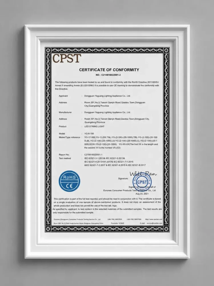 EU RoHS Certification (C210816022001-2)