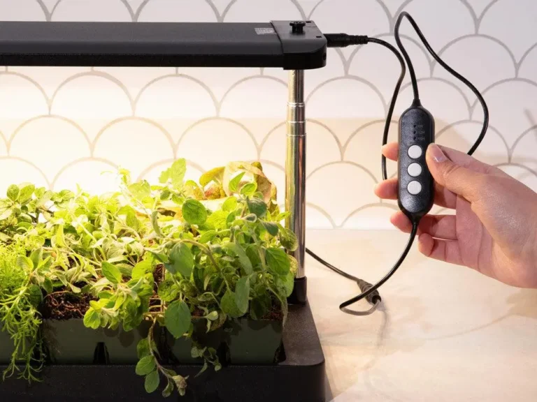 How Many Hours Should Grow Lights Be On for Seedlings？